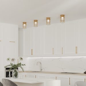 d8012 Soft Industrial Ceiling Fixture