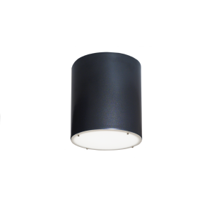 d8101 Basix Ceiling/Wall Fixture