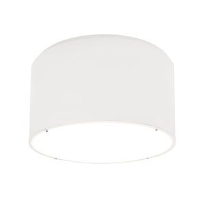 d8103 Basix Ceiling/Wall Fixture