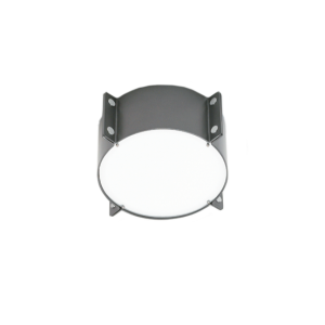 d8110 Meridian Ceiling/Wall Fixture