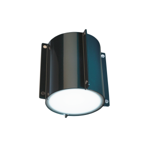 d8111 Meridian Ceiling/Wall Fixture